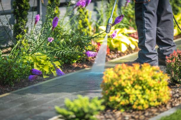 Best Pool Deck Cleaning  in Manchester, NH